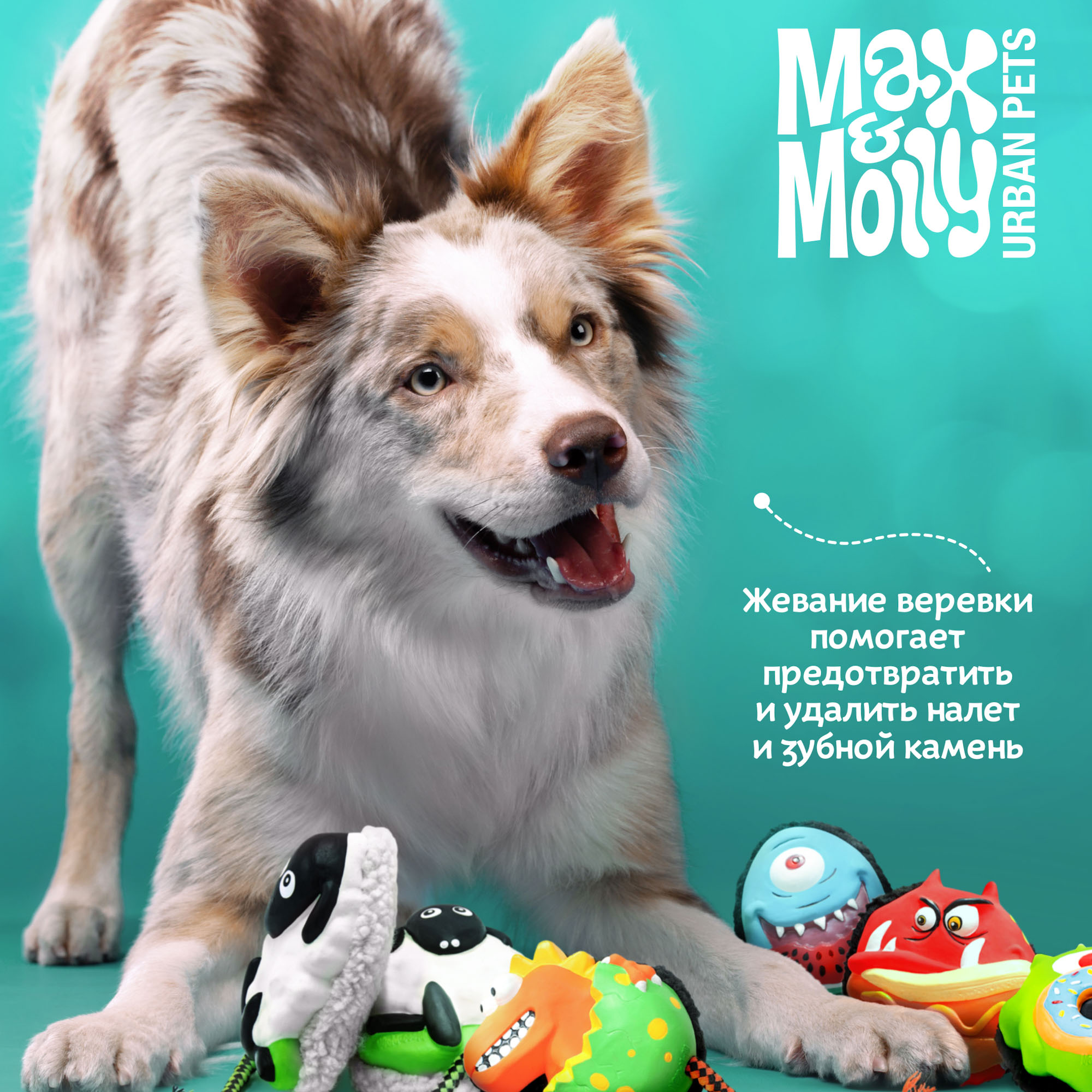 Новинки аксессуаров Max&Molly для собак — доступны к заказам!