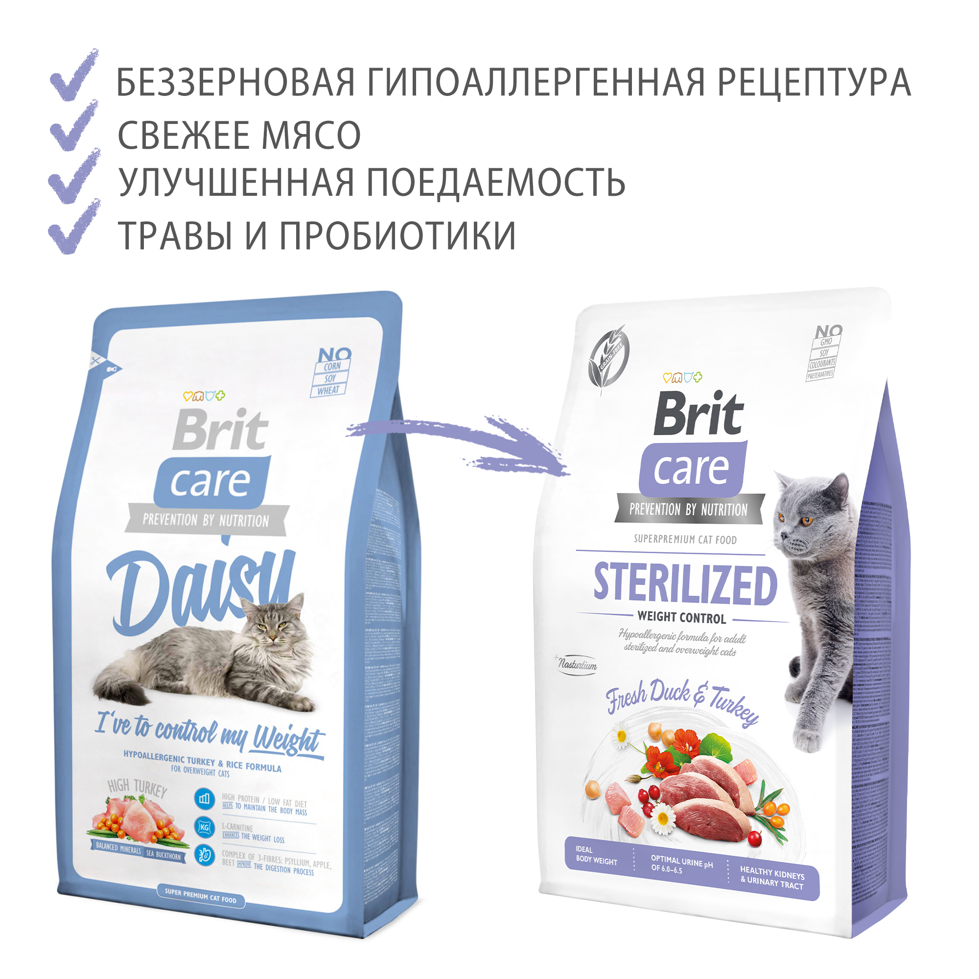 Гипоаллергенный холистик для кошек. Корм Brit Care Sterilised для кошек. Brit Care Sterilized для кошек. Brit VDC Hypoallergenic для кошек. Brit корм для кошек стерилизованных сухой.